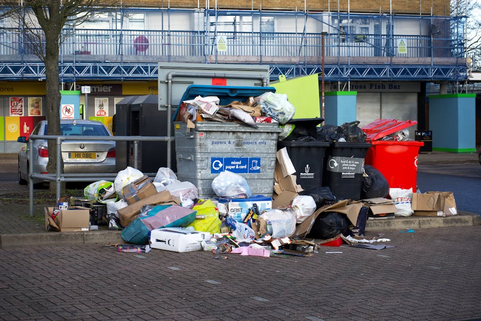 SW19 bulky rubbish collection tips for Dundonald Road